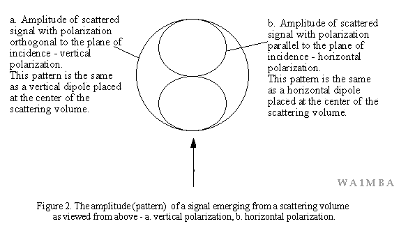 Figure 2 -plot of scattering amplitude vs. azmuth